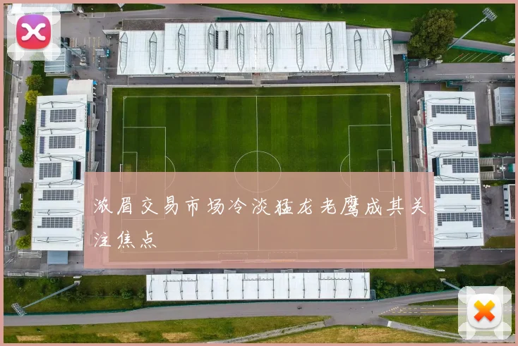 浓眉交易市场冷淡猛龙老鹰成其关注焦点