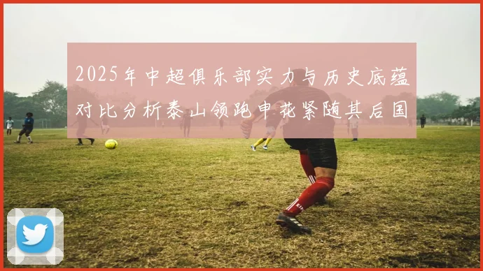 2025年中超俱乐部实力与历史底蕴对比分析泰山领跑申花紧随其后国安位居第三